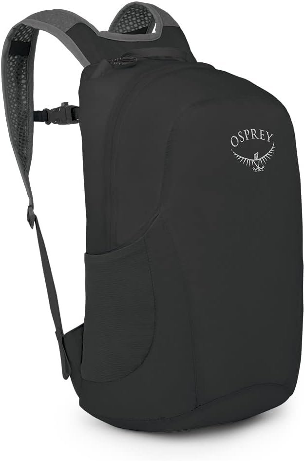 collapsible backpack
